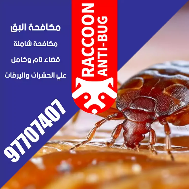 شركة مكافحة قوارض الكويت