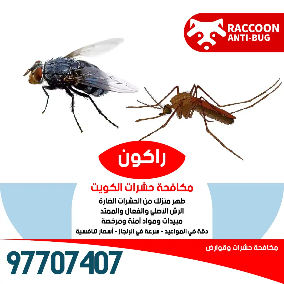 التخلص من البعوض والناموس في المنازل والساحات المفتوحة بأفضل الطرق من راكون أفضل شركة مكافحة حشرات